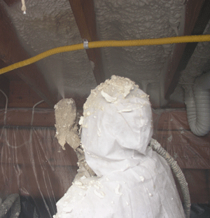  CA crawl space insulation